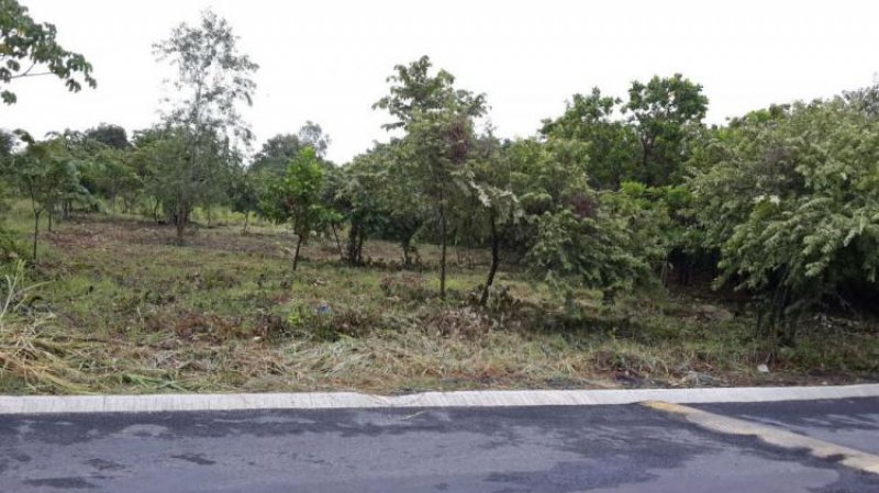 Terreno en Venta en  Chame, Panamá