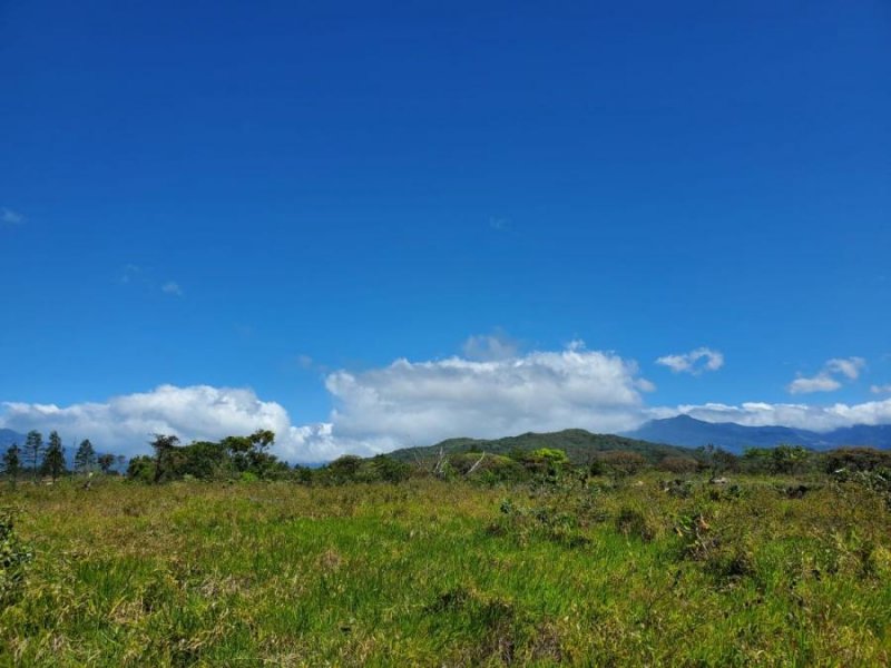 Terreno en Venta en Corregimiento de alto boquete Alto Boquete, Chiriquí