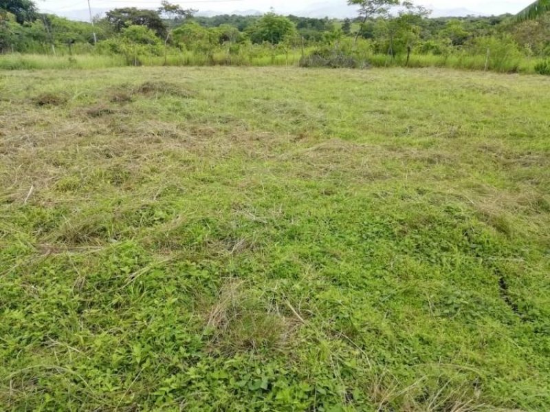 Foto Terreno en Venta en Calobre, Calobre, Veraguas - U$D 24.000 - TEV25623 - BienesOnLine