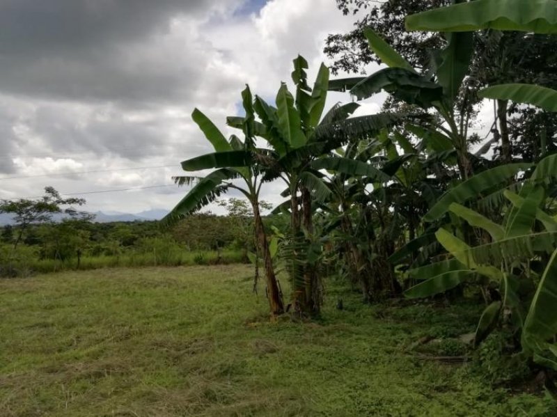 Foto Terreno en Venta en El Quira, Calobre, Veraguas - U$D 24.000 - TEV25537 - BienesOnLine