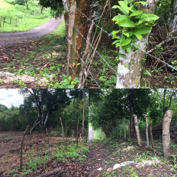 Terreno en Venta en Pajonal Penonomé, Coclé