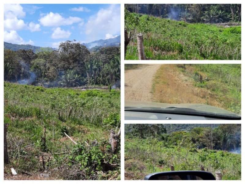 Terreno en Venta en Toabre Penonomé, Coclé