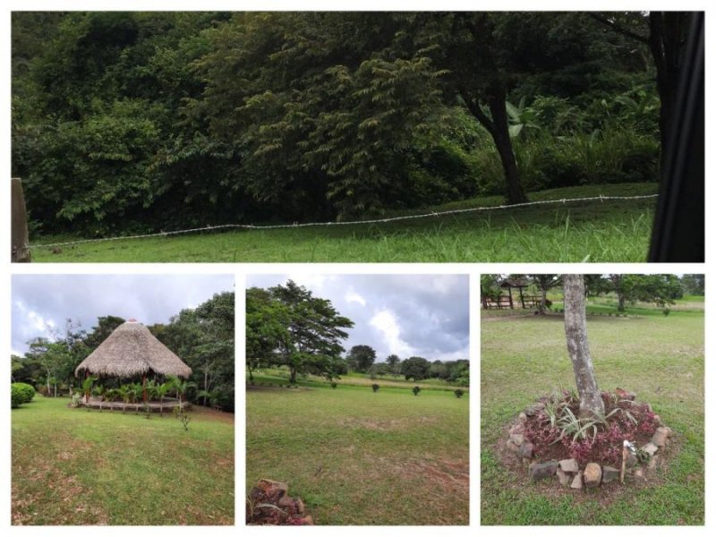 Terreno en Venta en Tambo Penonomé, Coclé