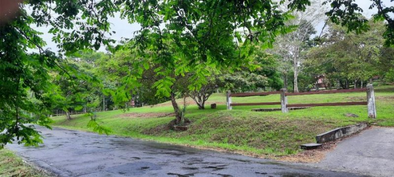 VENDO TERRENO HERMOSO EN BARRERO- PENONOMÉ 