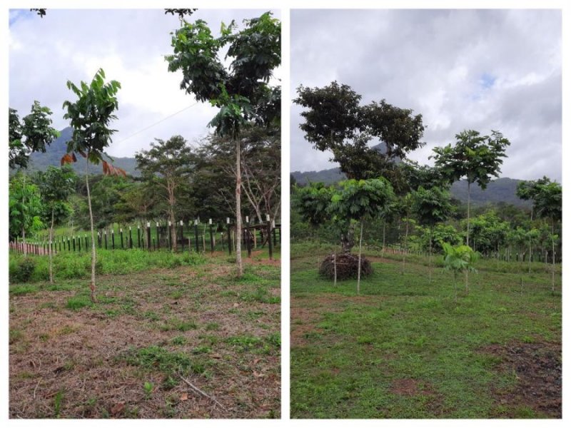 Terreno en Venta en Cañaveral Penonomé, Coclé