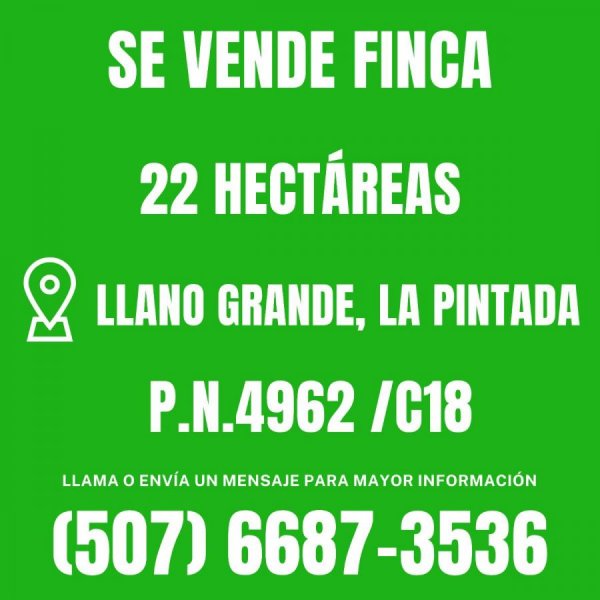 Finca en Venta en Penonomé La Pintada, Coclé