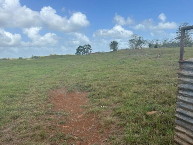 Finca en Venta en  Mendoza, Panamá