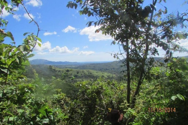 Terreno en Venta en El Rincón de Bejuco Chame, Panamá