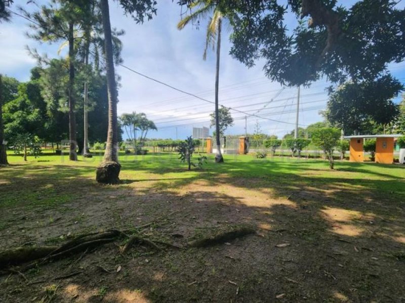 Foto Finca en Venta en Antón, Coclé - U$D 6.000.000 - FIV77814 - BienesOnLine