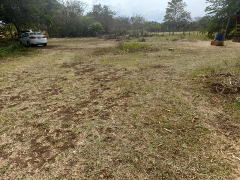 Terreno en Venta en  Las Tablas, Los Santos