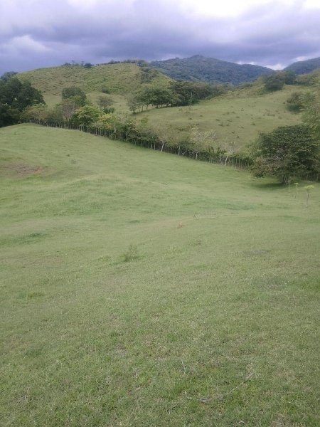 Terreno en Venta en  El Muñoz, Los Santos