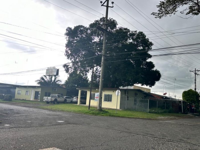 Local en Venta en David Terronal, Chiriquí