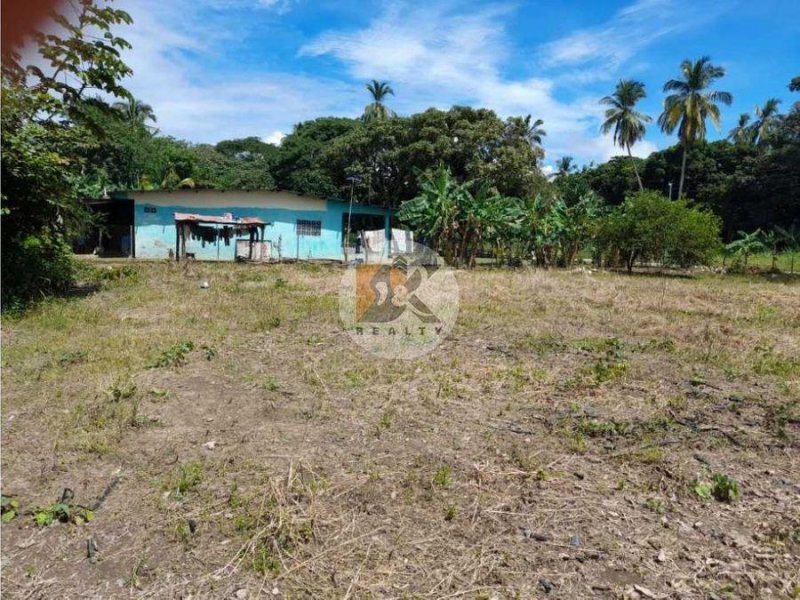 Foto Terreno en Venta en Juan Hombron, Río Hato, Coclé - U$D 300.000 - TEV61053 - BienesOnLine