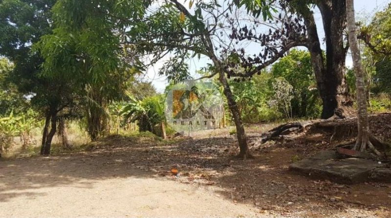 Foto Terreno en Venta en Chilibre, Ciudad de Panamá, Panamá - U$D 4.000.000 - TEV61646 - BienesOnLine