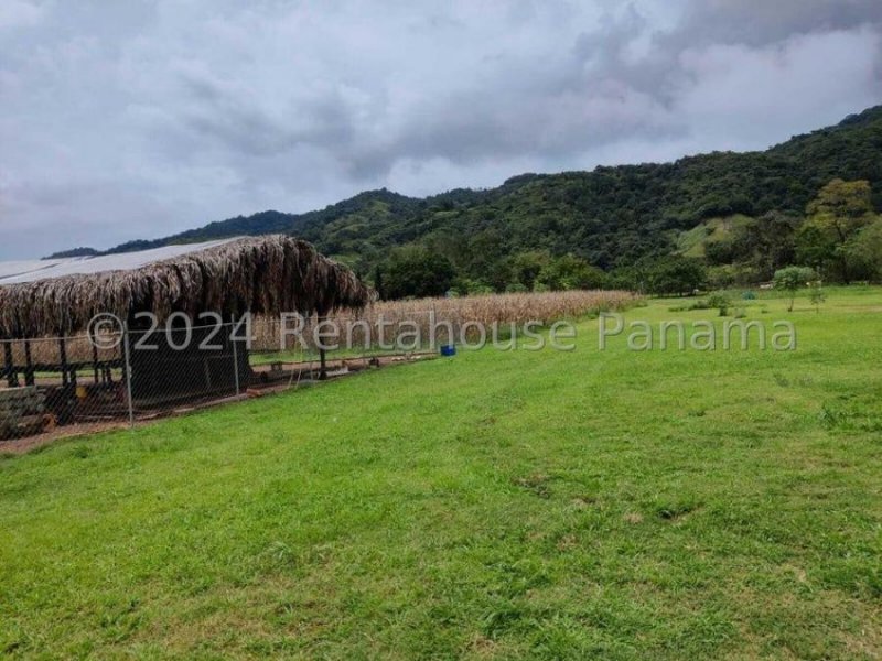 Terreno en Venta en  Colón, Colón