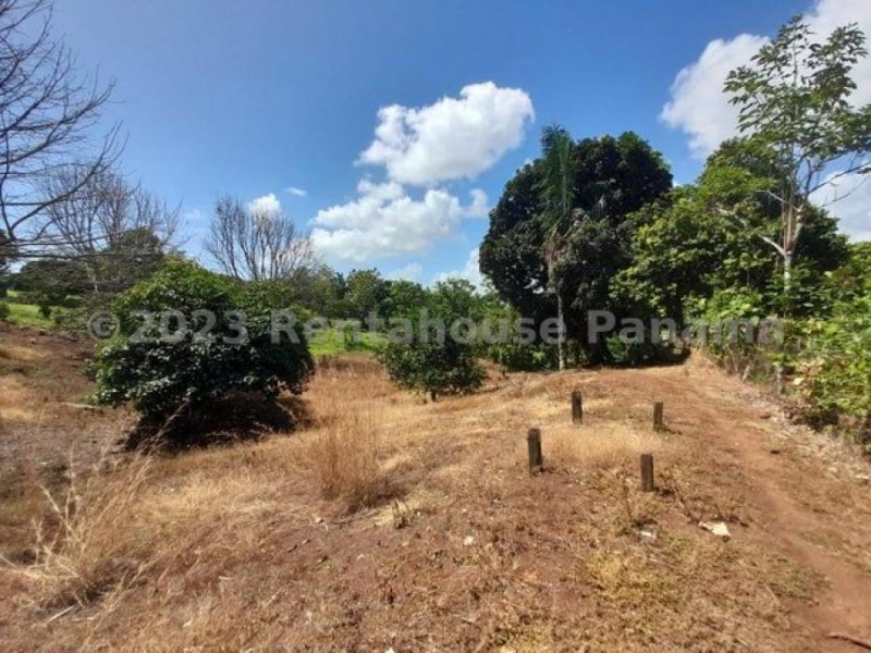 Terreno en Venta en  Cristóbal, Colón