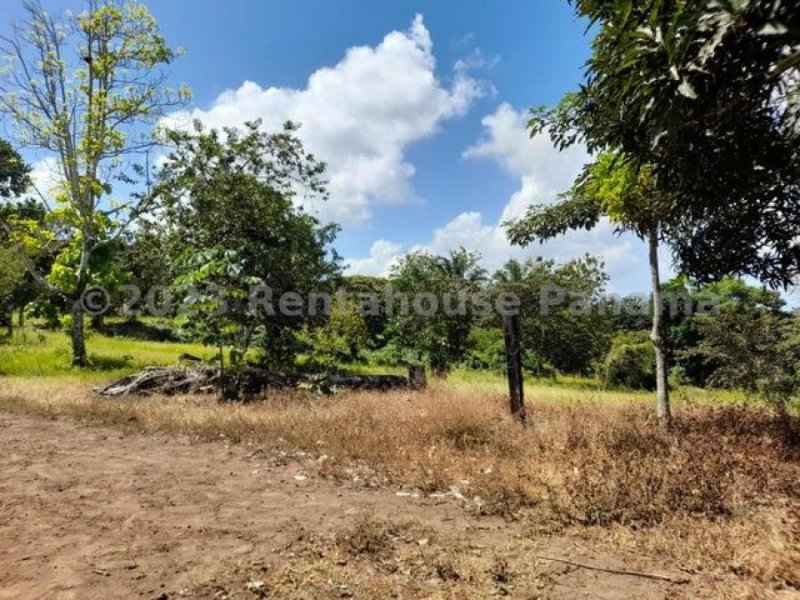 Terreno en Venta en  Cristóbal, Colón