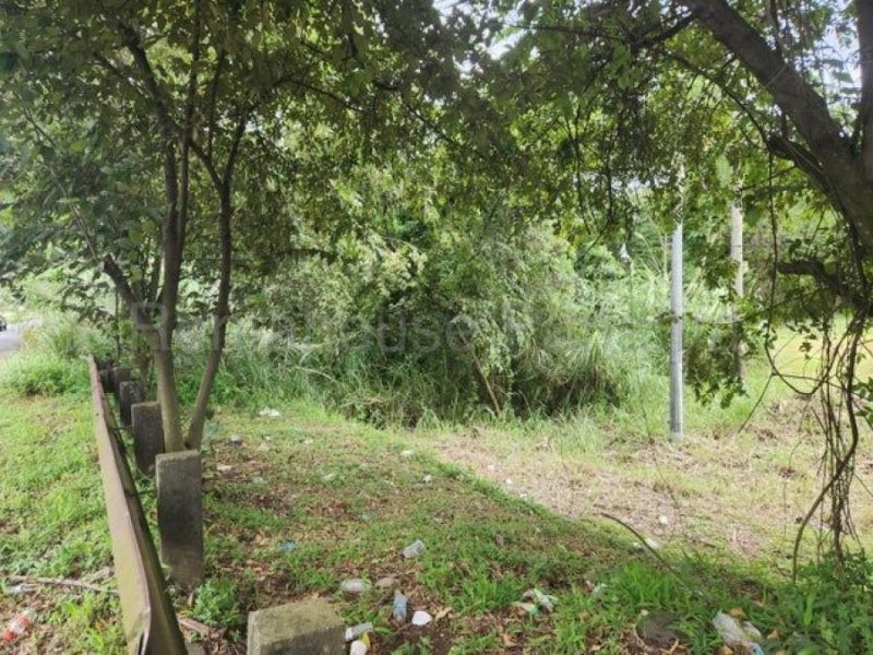 Foto Terreno en Venta en La Chorrera, Panamá - U$D 476.630 - TEV76410 - BienesOnLine