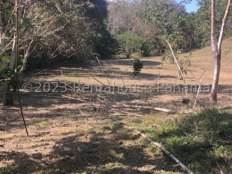 Venta de Terreno en La CHorrera, La CHorrera 24gc5421