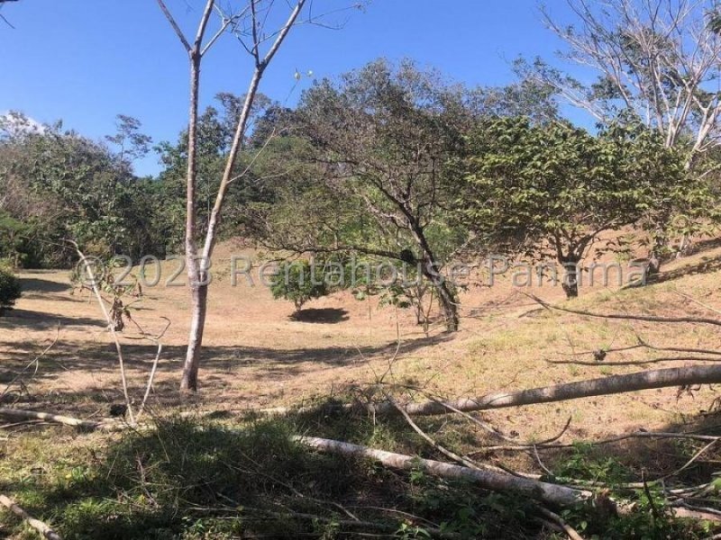 Foto Terreno en Venta en La Chorrera, Panamá - U$D 192.000 - TEV69123 - BienesOnLine