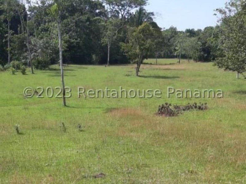 Terreno en Venta en  La Chorrera, Panamá