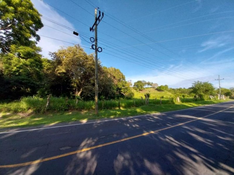 Terreno en Venta en Las Uvas San Carlos, Panamá