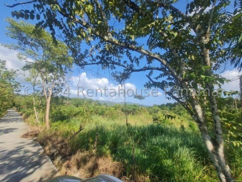 Foto Terreno en Venta en Panama Norte, Ciudad de Panamá, Panamá - U$D 1.375.000 - TEV74131 - BienesOnLine