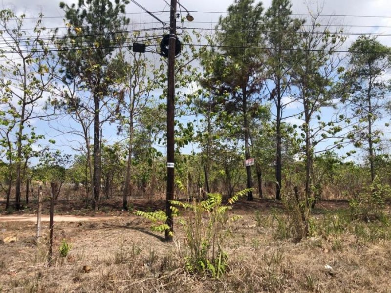 Foto Terreno en Venta en Río Hato, Antón, Coclé - U$D 300.348 - TEV67464 - BienesOnLine