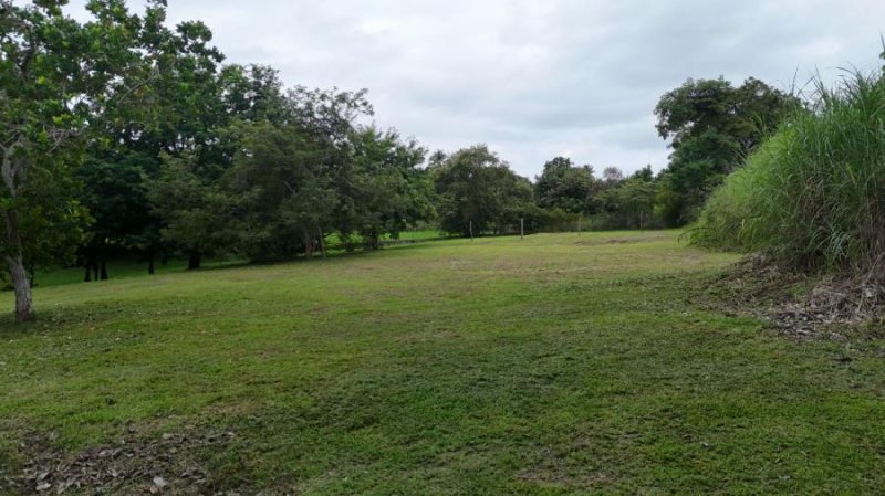 Terreno en Venta en San Carlos Las Uvas Ph Valle Los Lirios, Panamá