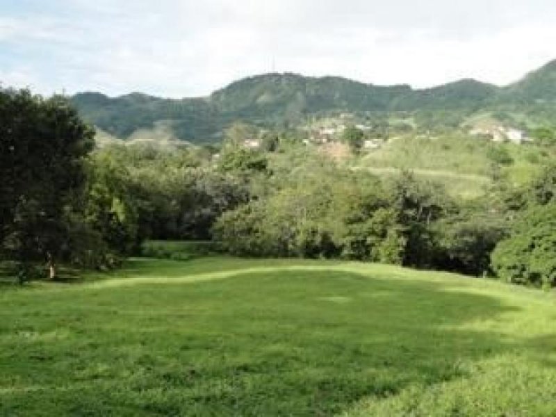 Foto Terreno en Venta en Las Cumbres, Panamá - U$D 600.000 - TEV26266 - BienesOnLine