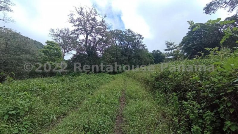 Terreno en Venta en  Chiriqui, Panamá