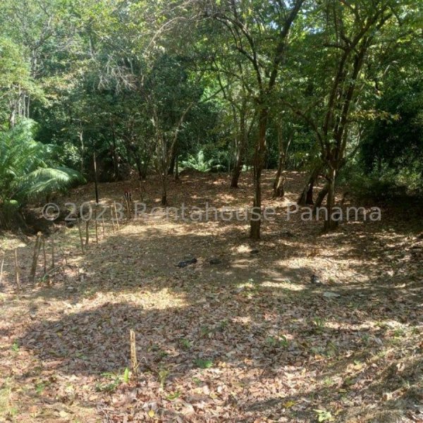 Terreno en Venta en  Las Cumbres, Panamá