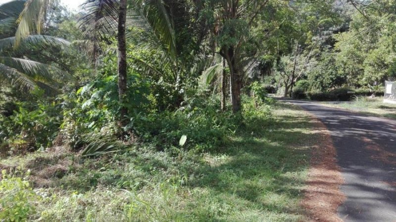 Terreno en Venta en  Las Cumbres, Panamá