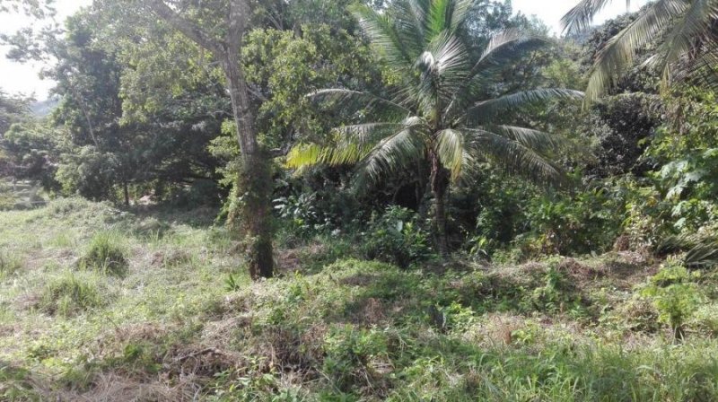 Terreno en Venta en Las Cumbres Las Cumbres, Panamá