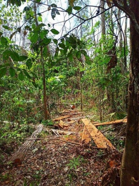 Terreno en Venta en  Yaviza, Panamá