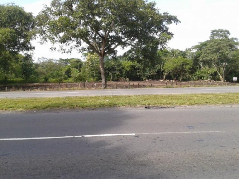 Foto Terreno en Venta en Boqueron, Boquerón, Chiriquí - U$D 609.000 - TEV3501 - BienesOnLine